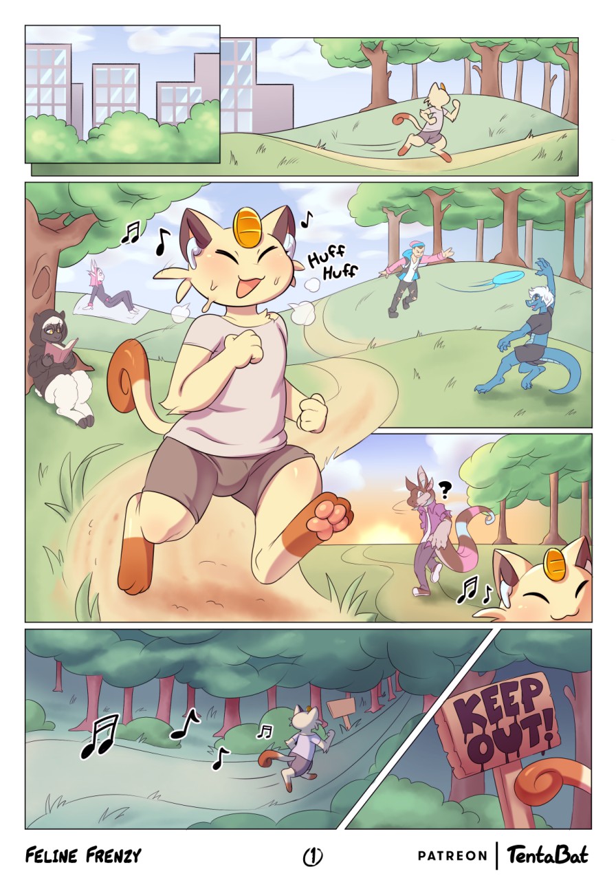 Feline Frenzy 02