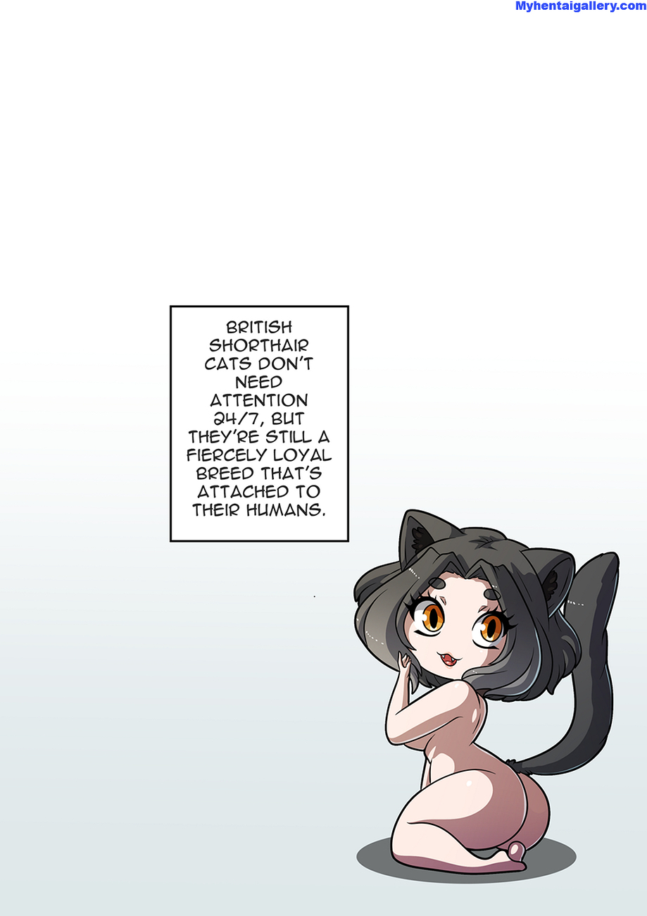 Feline Chateau 4 Kinkymation 22