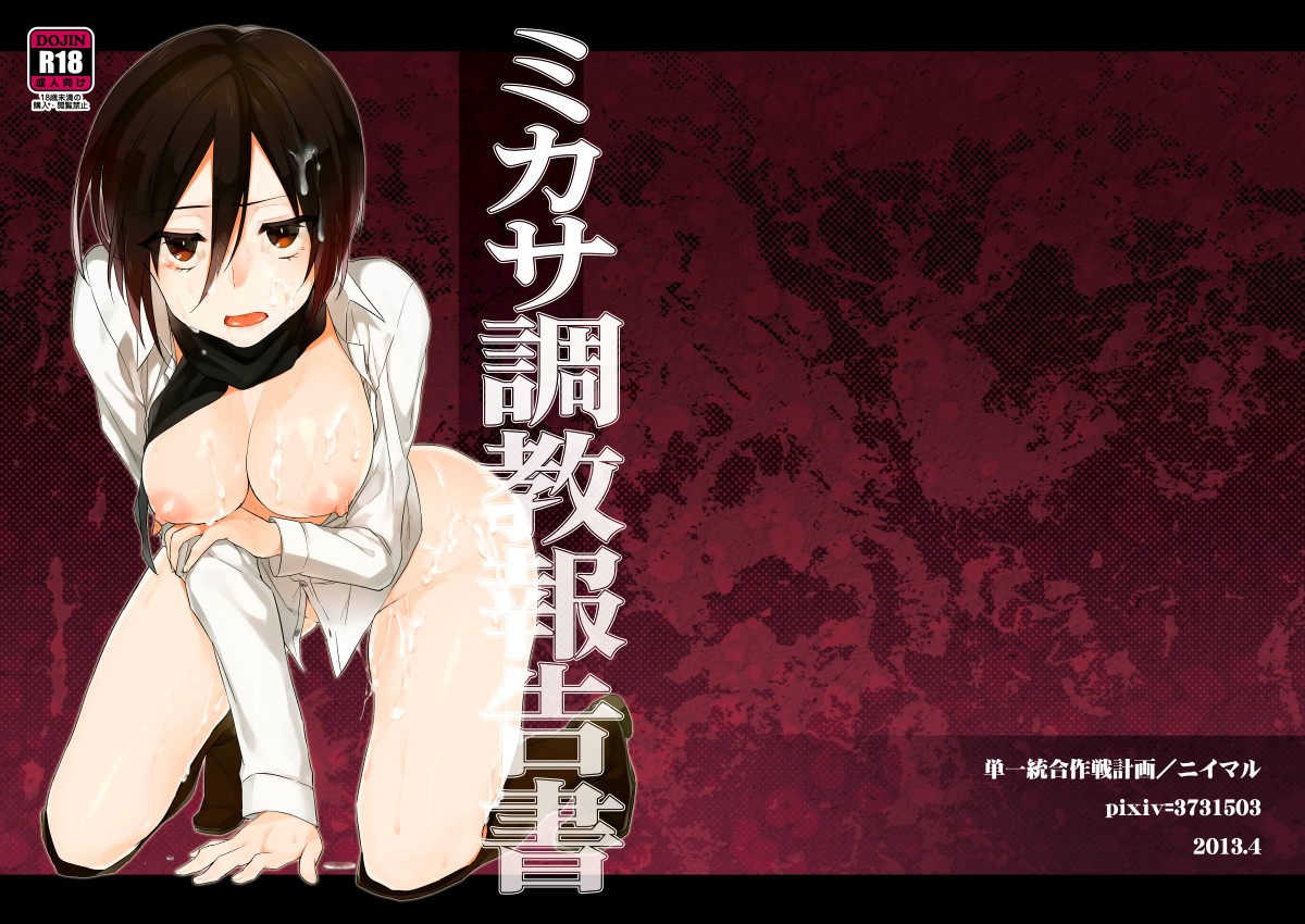 Mikasas Training Report 02