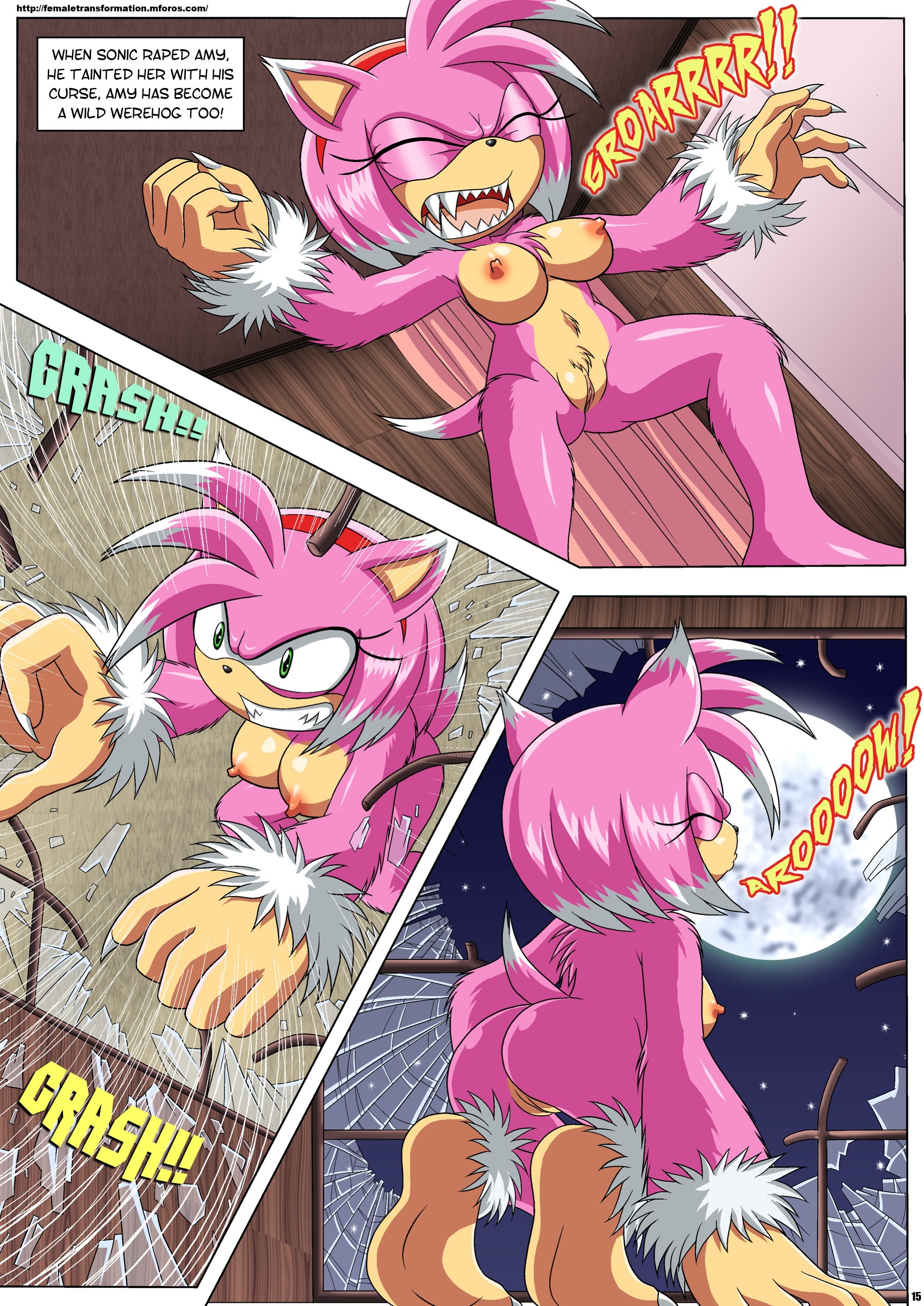 The Werehog 17