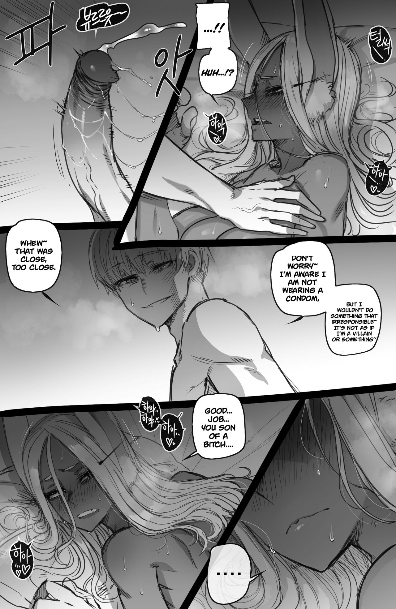 Mirko Individual Compatibility 17