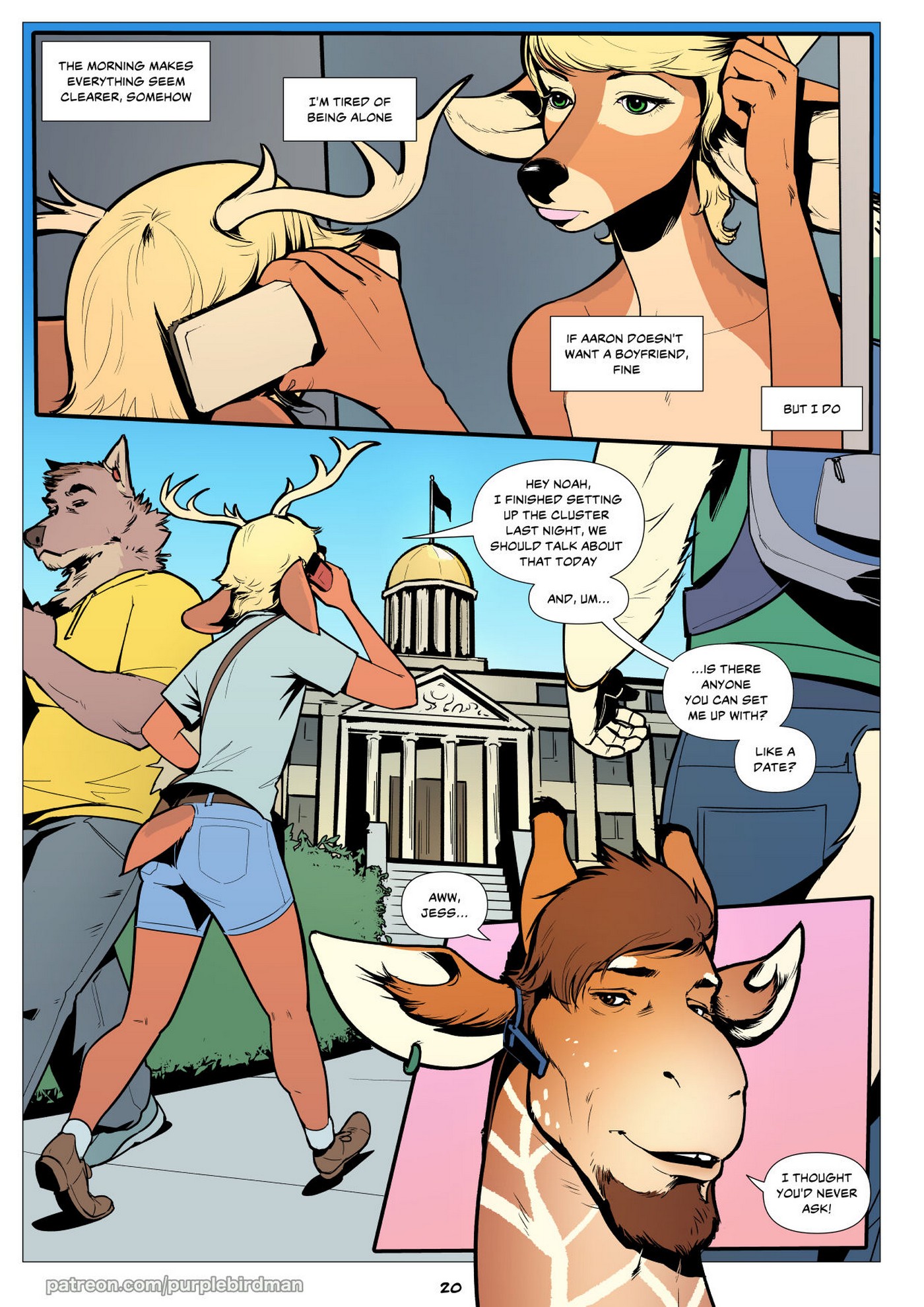 False Spring Falcon Mccooper 20