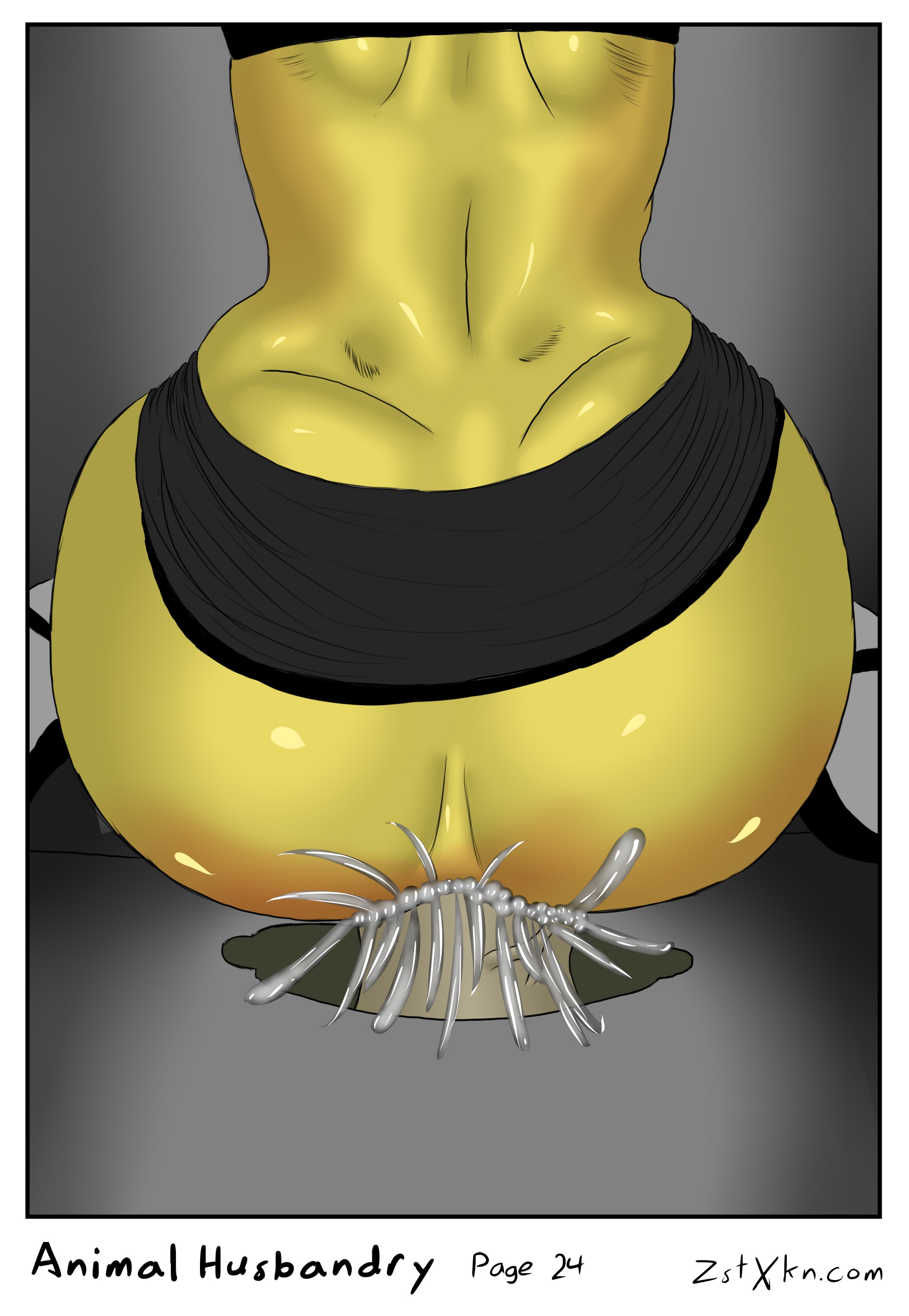 Animal Husbandry Zst Xkn 24