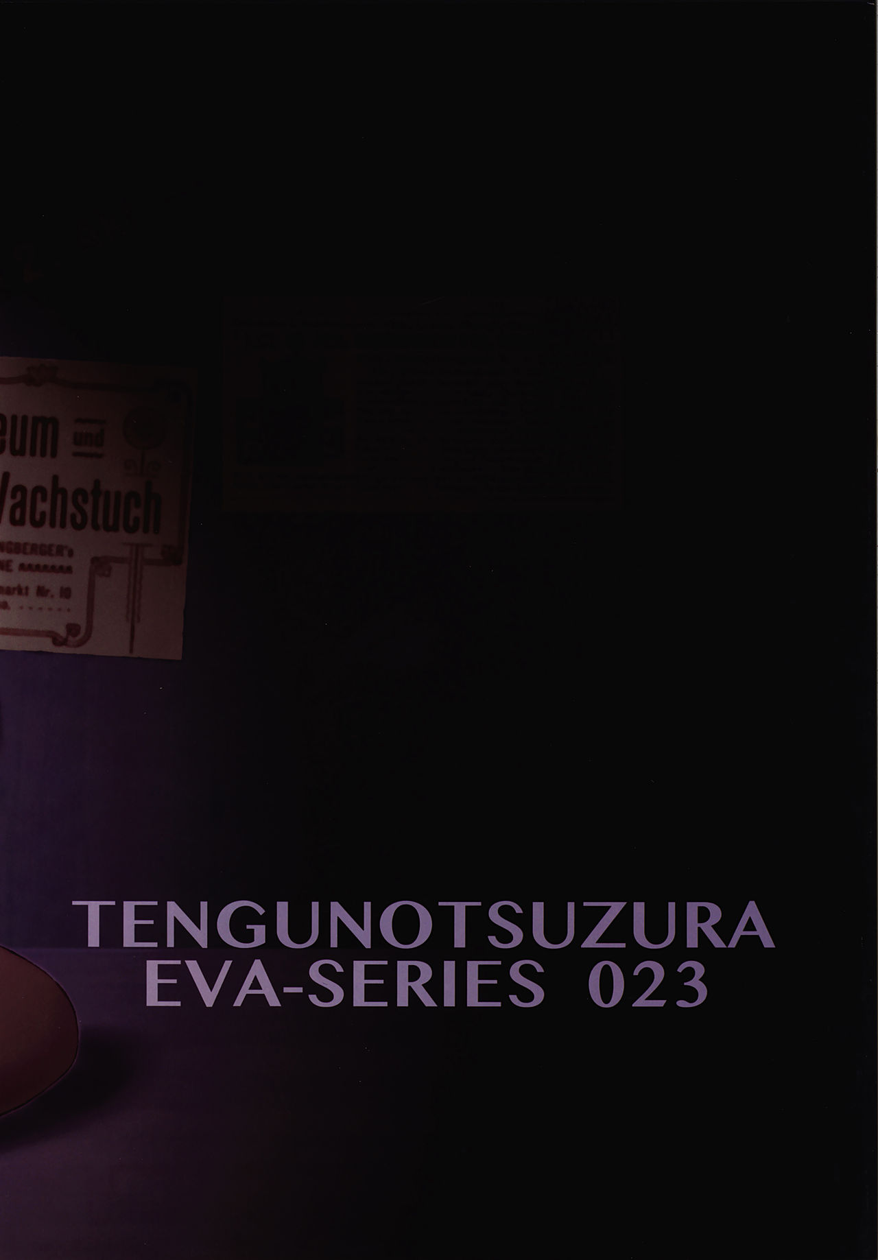 Himegane Evangelion 26
