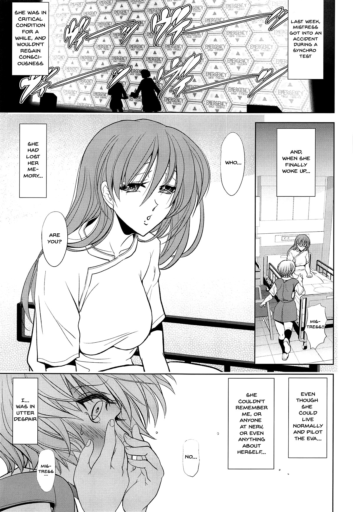 Master Fly To The Honey Moon Evangelion 65