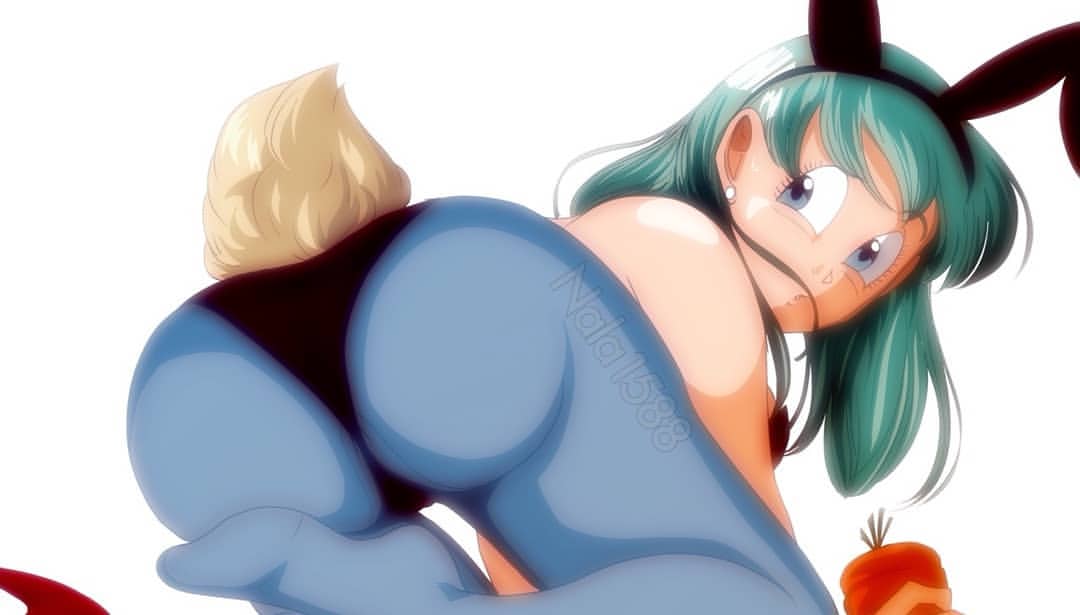 Nala1588 Dragon Ball Images 33