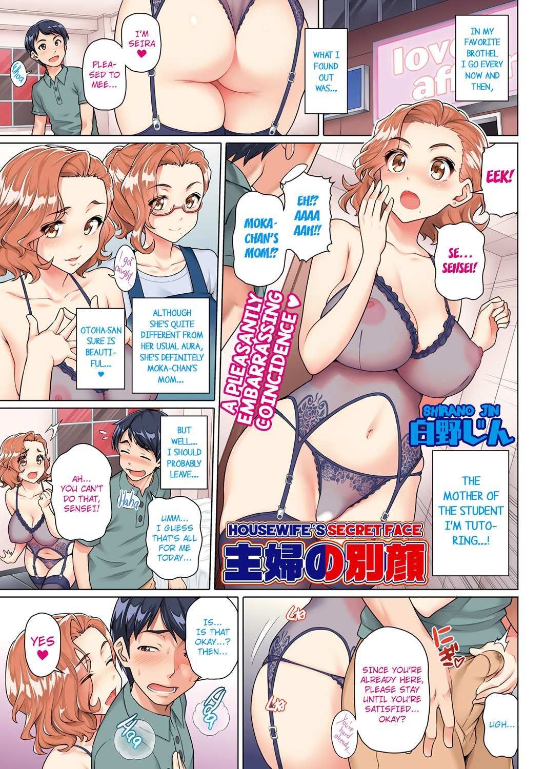 Housewifes Secret Face – Shirano Jin 1