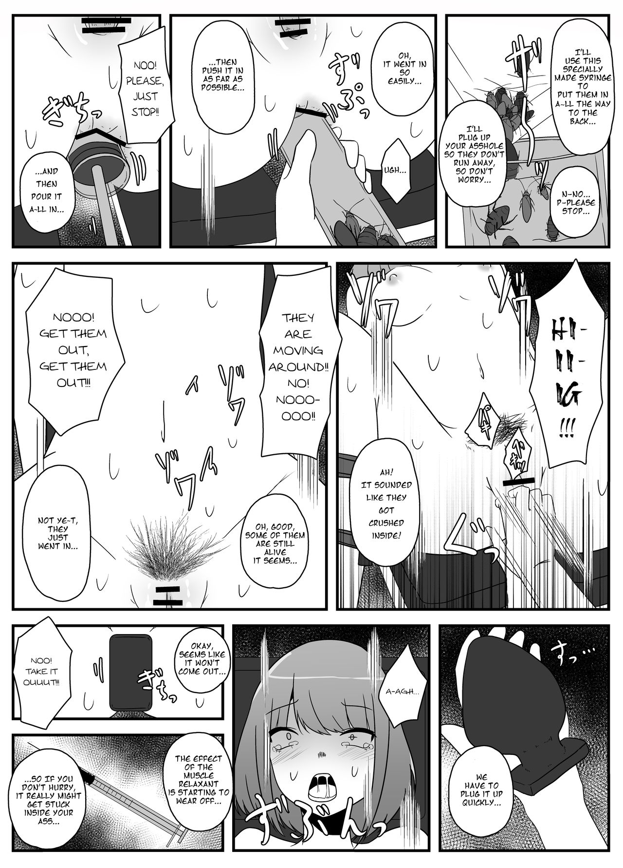 The Ruined Plaything 21