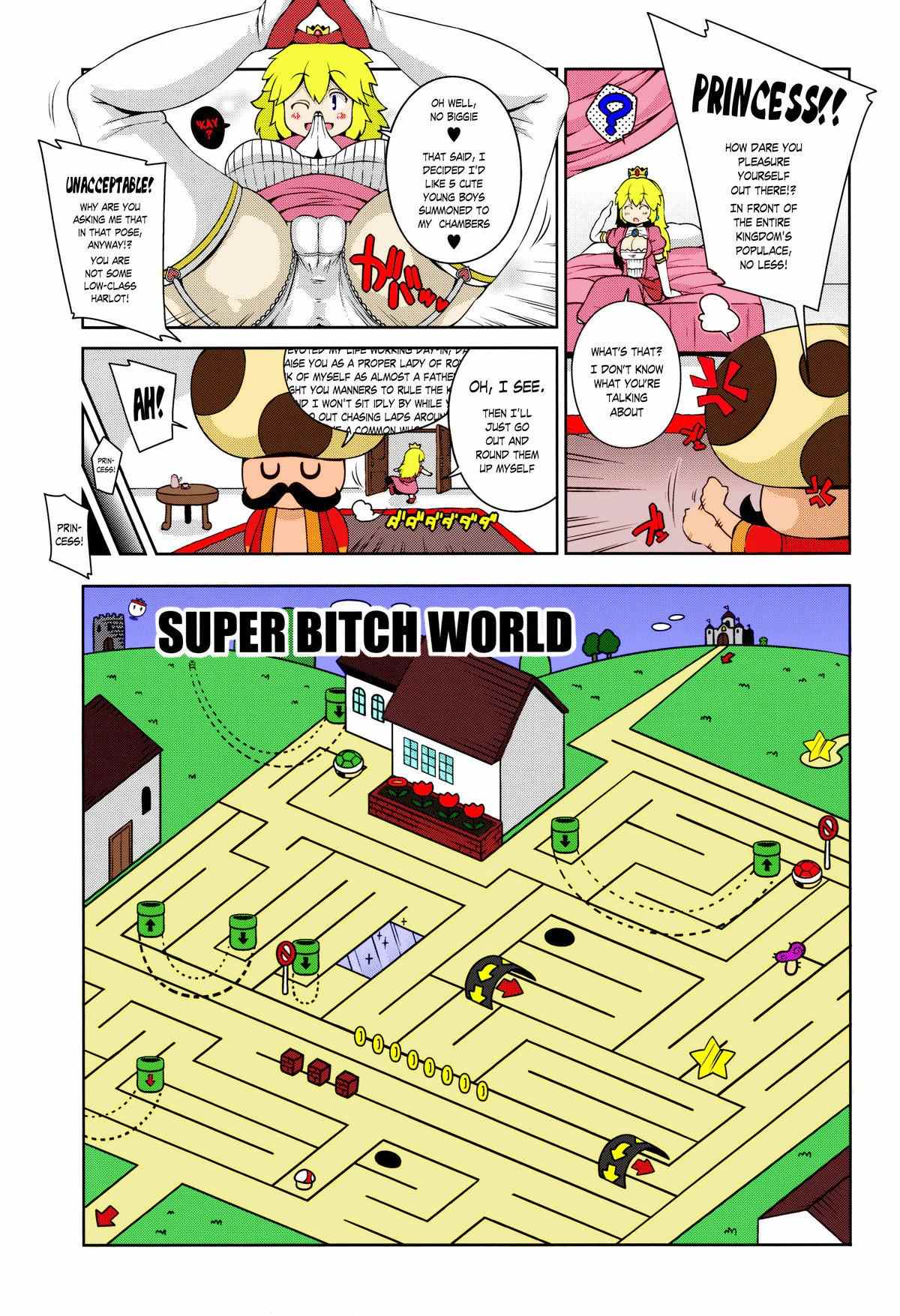Super Bitch World Super Mario Bros Color 6