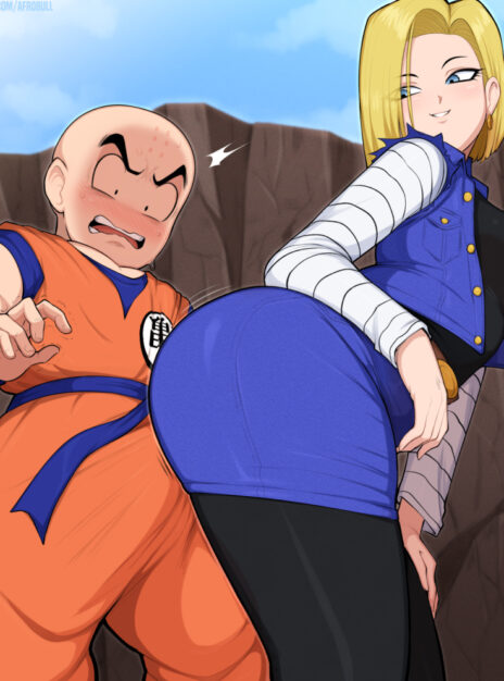 Krilln And Android 18s First Meeting Afrobull 01