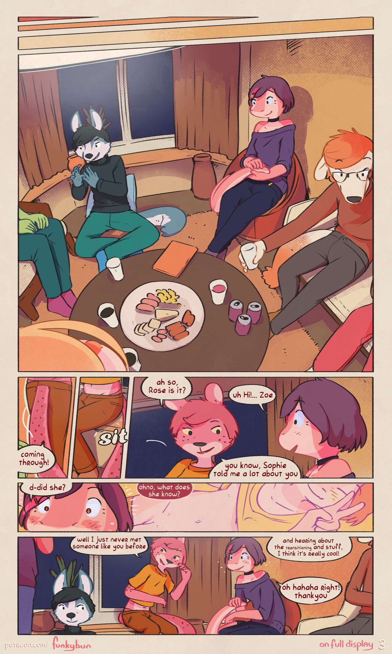 On Full Display Funkybun 05