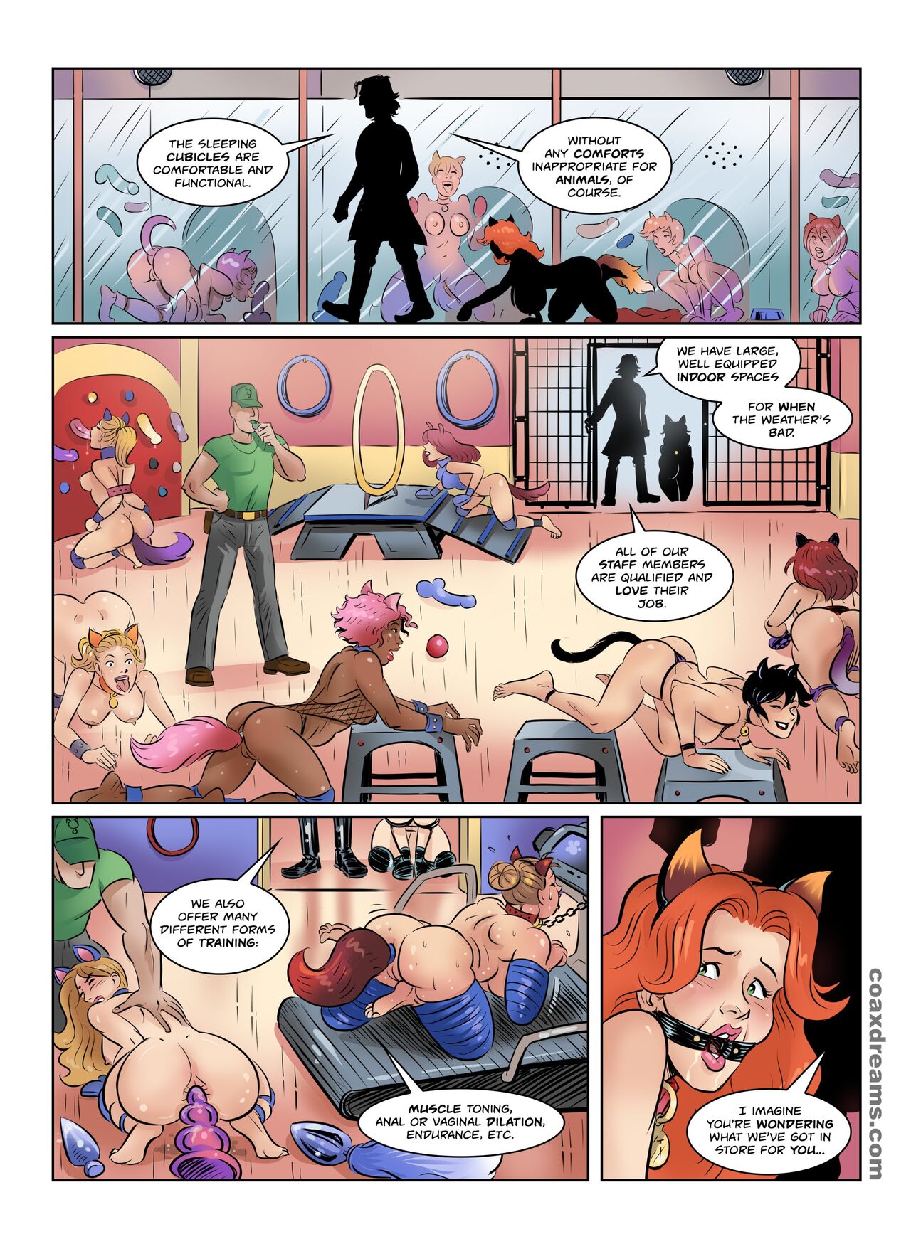 Donination League 5 Coax 10