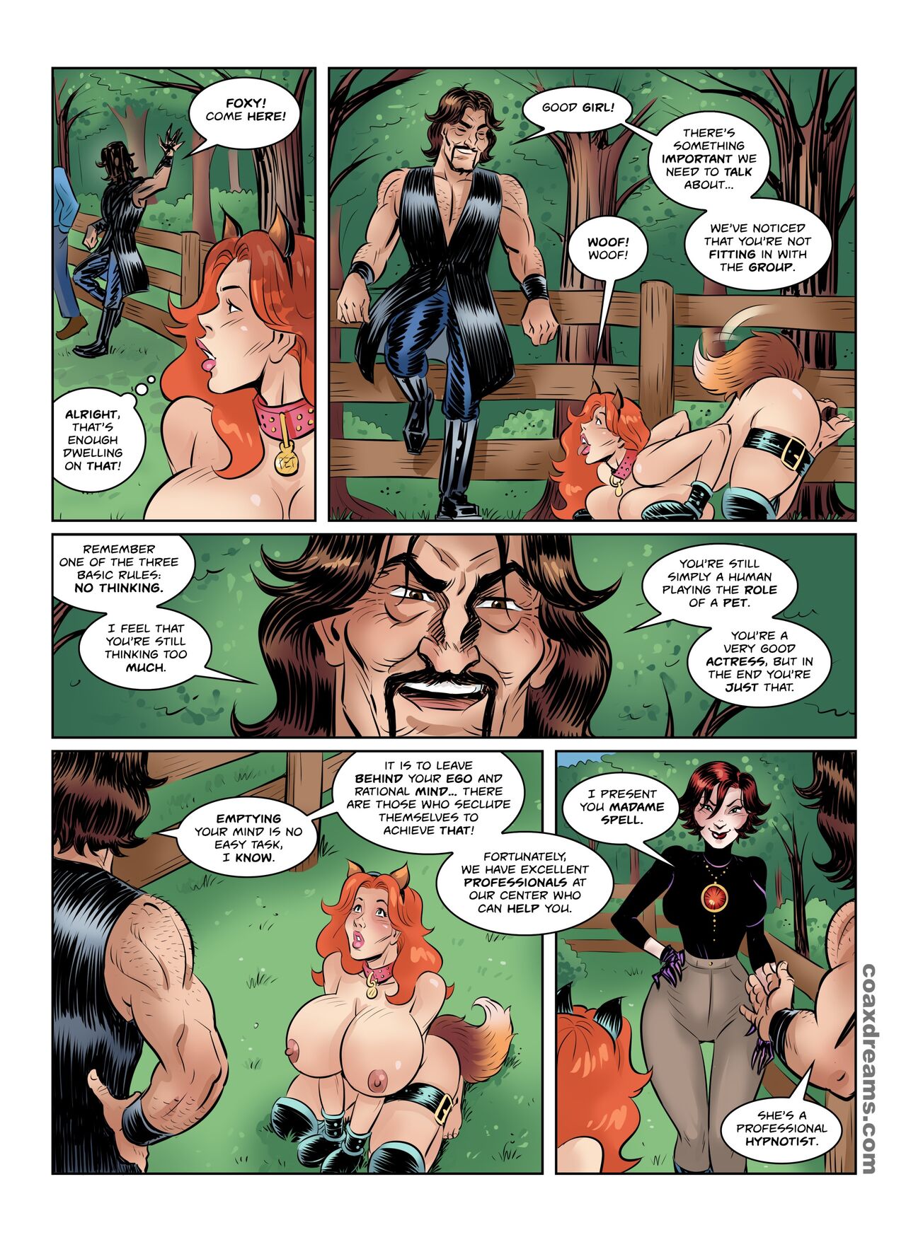 Donination League 5 Coax 20