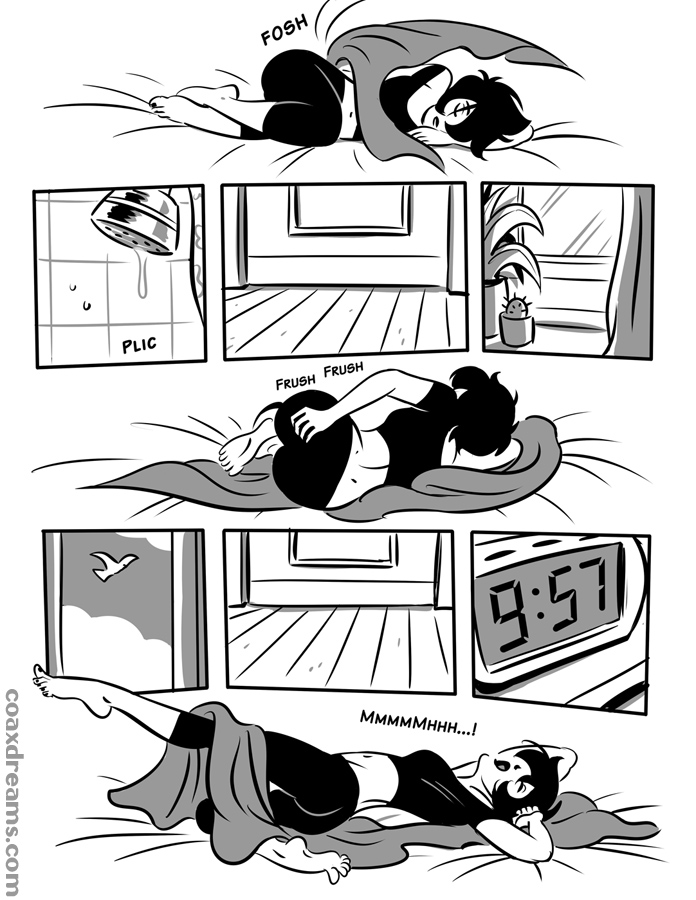 Another Pets Story Coax16 04