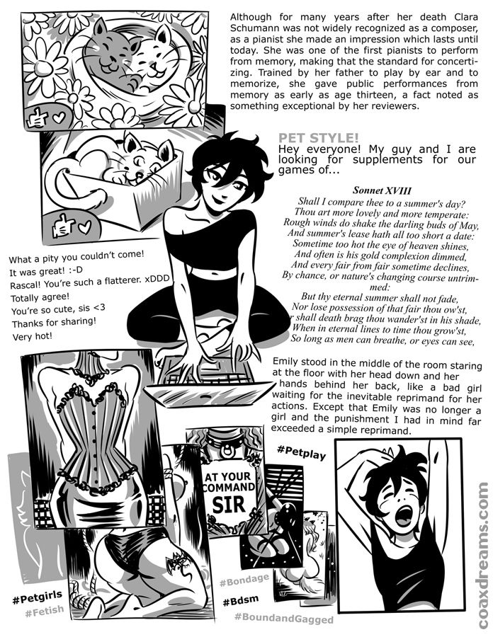 Another Pets Story Coax16 06