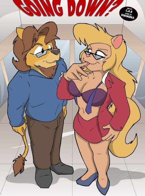 Going Down Robinebra 01